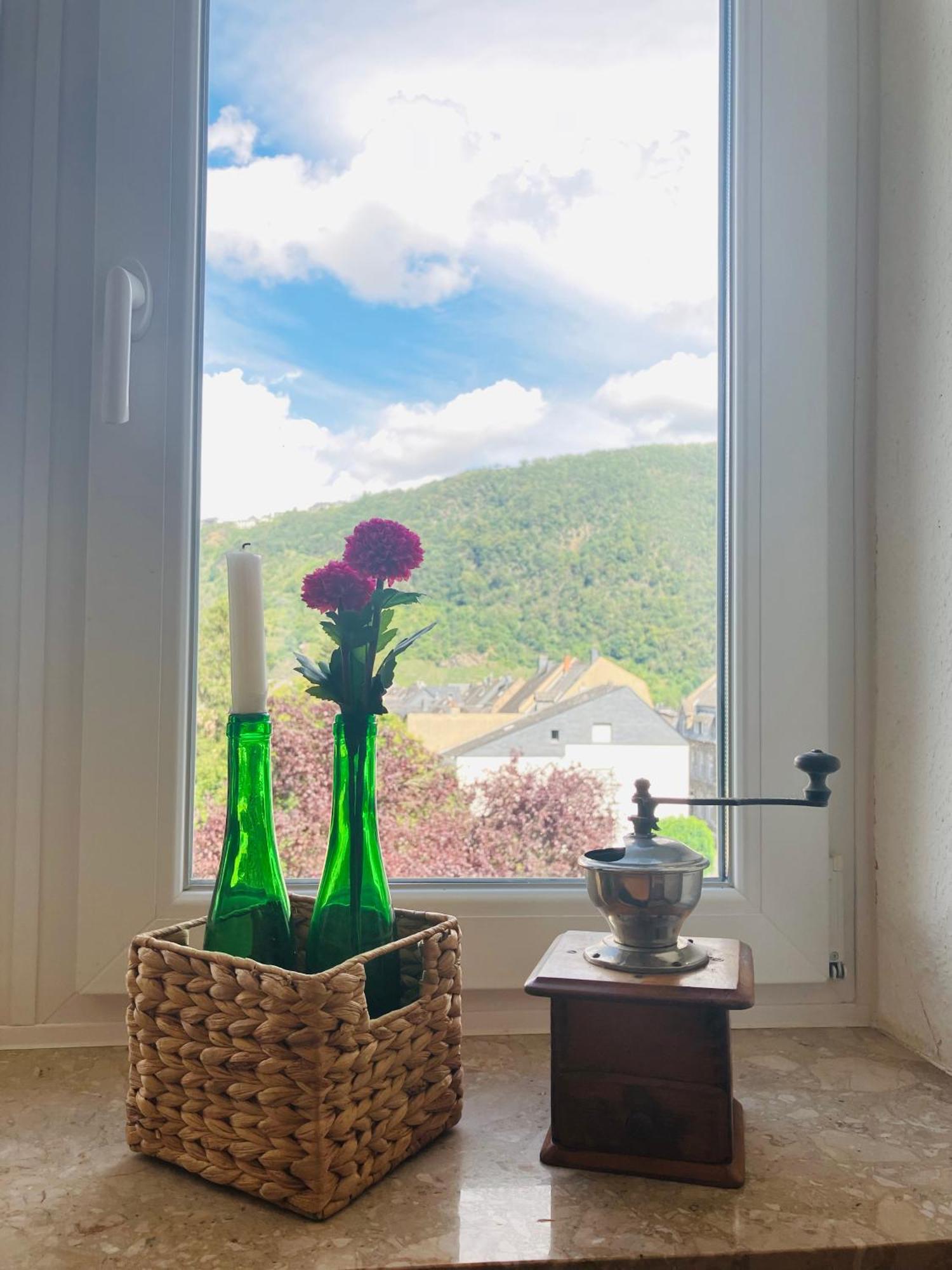 Neu - Im Winzergarten *