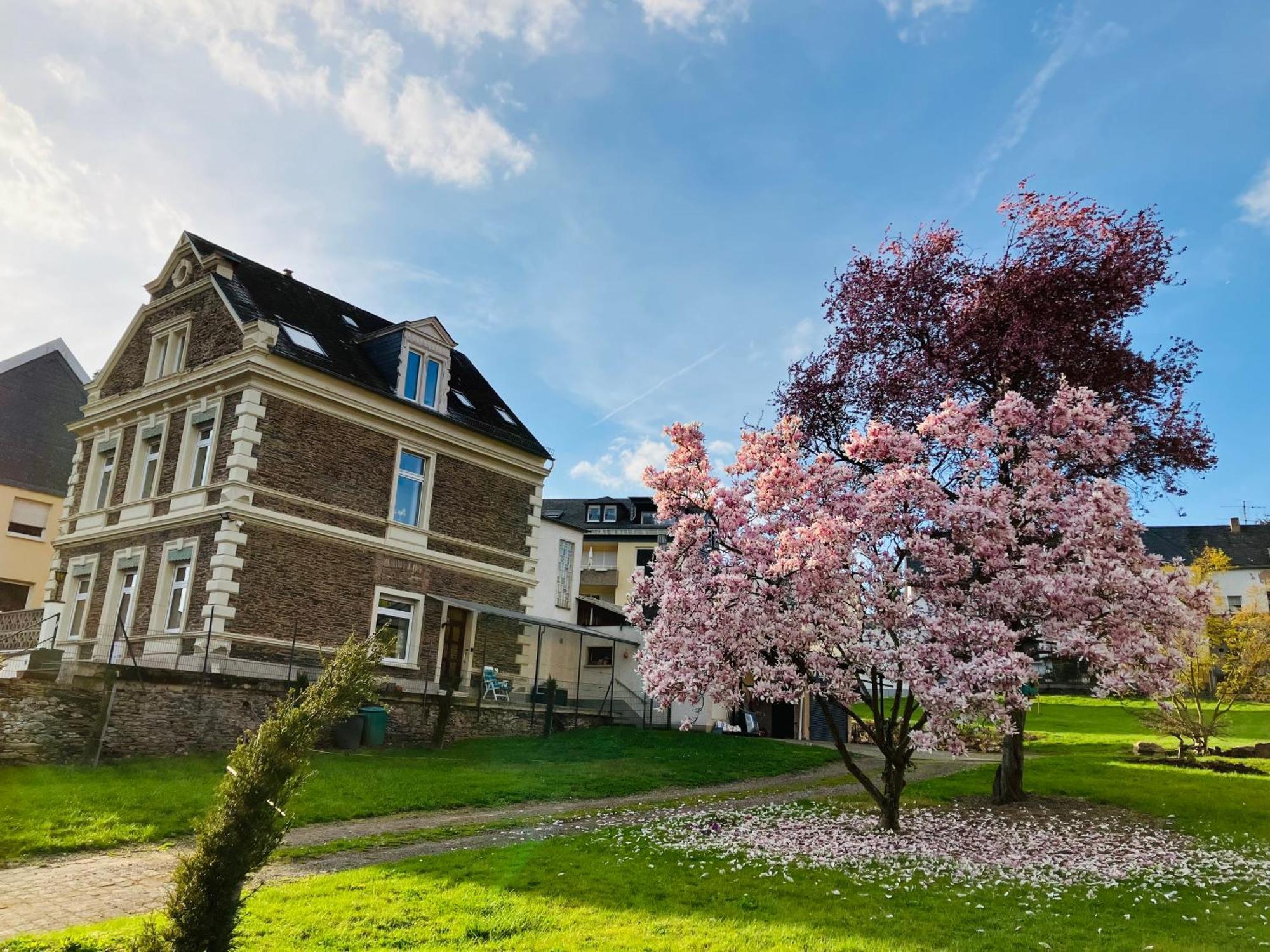 Neu - Im Winzergarten Traben-Trarbach